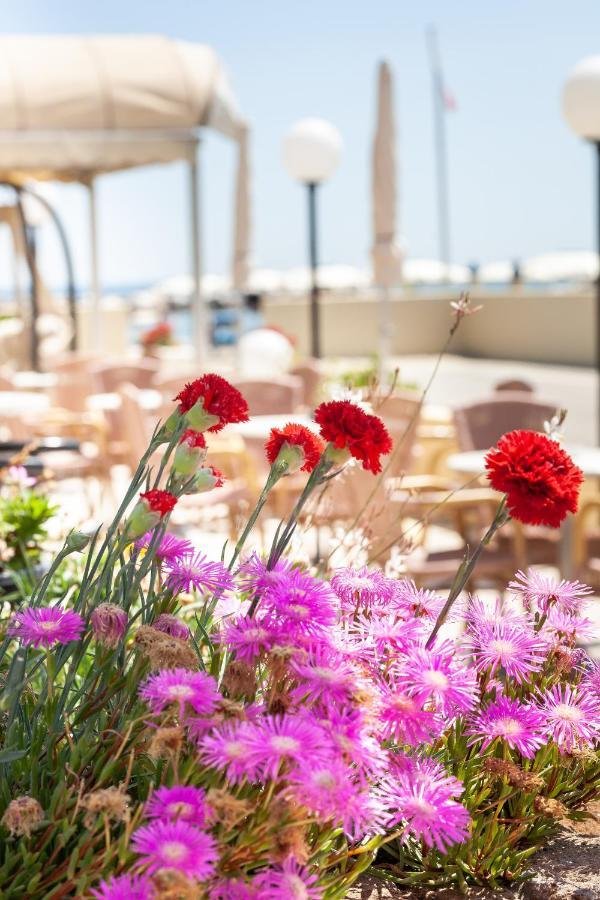 Hotel Primavera Sul Mare 리도 디 사비오 외부 사진